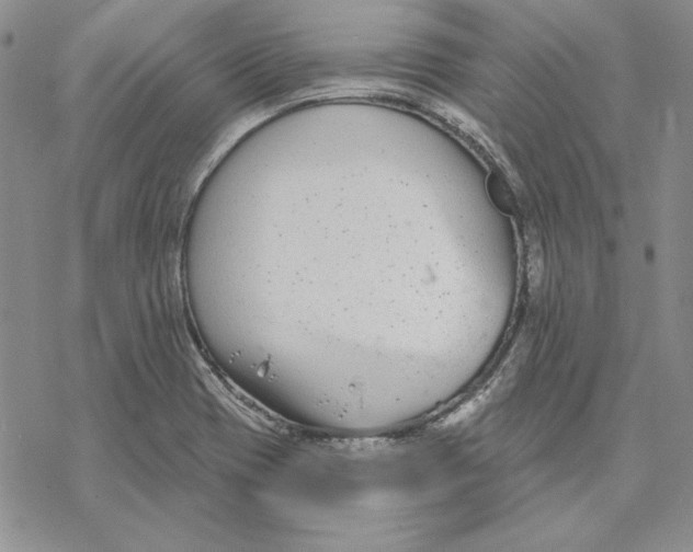 X0000069381417200606021555