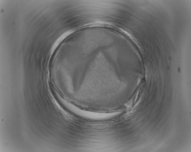 X0000069381418200606021555