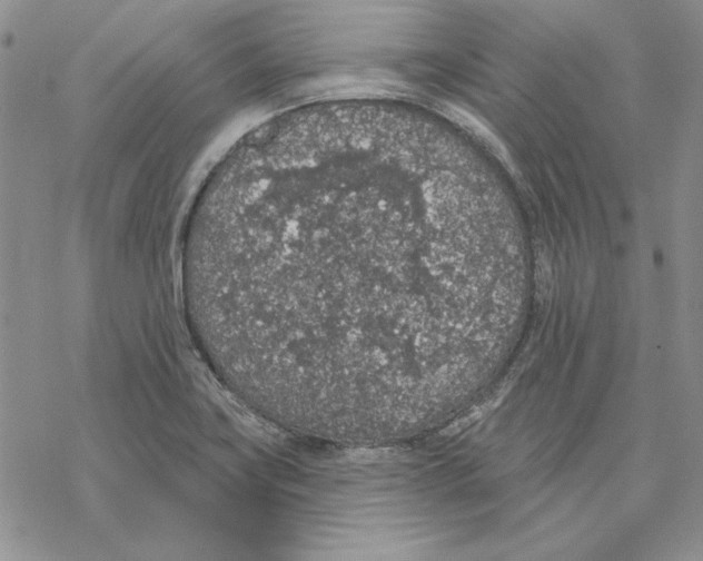 X0000069381419200606021555