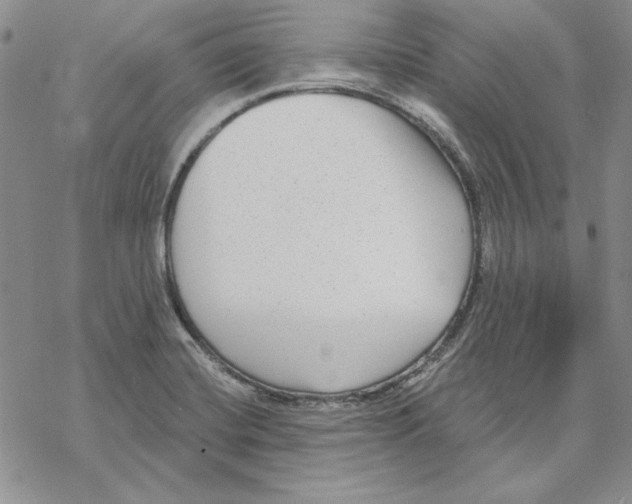 X0000069381420200606021555