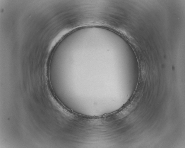 X0000069381422200606021555