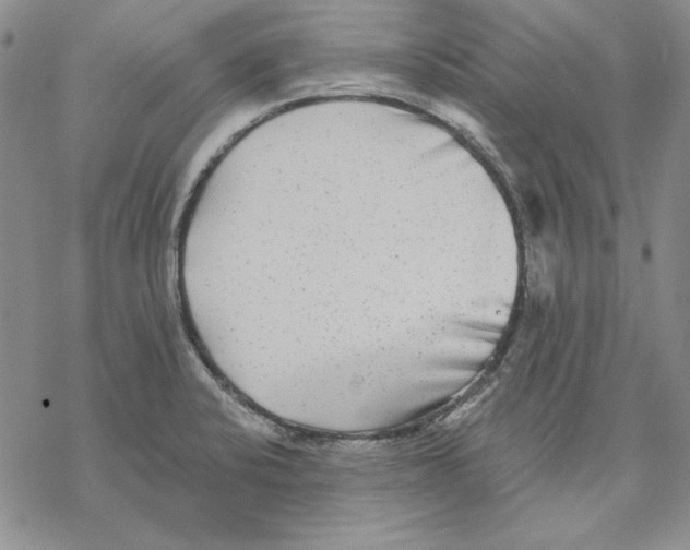 X0000069381424200606021555