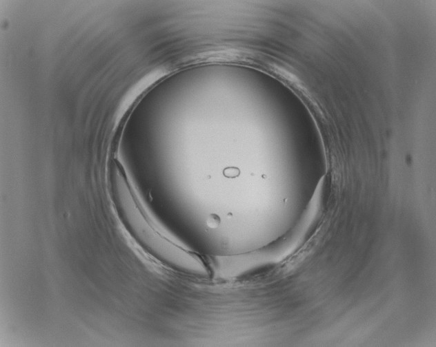 X0000069381426200606021555