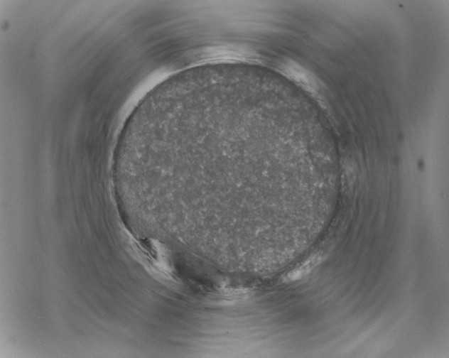 X0000069381427200606021555