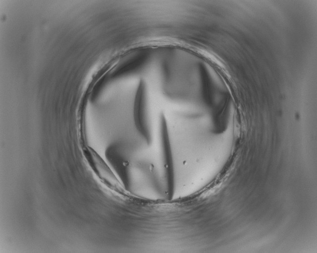 X0000069381430200606021555