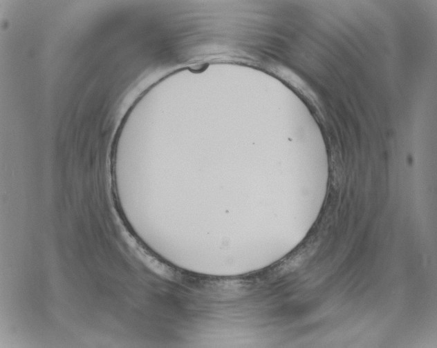 X0000069381431200606021556