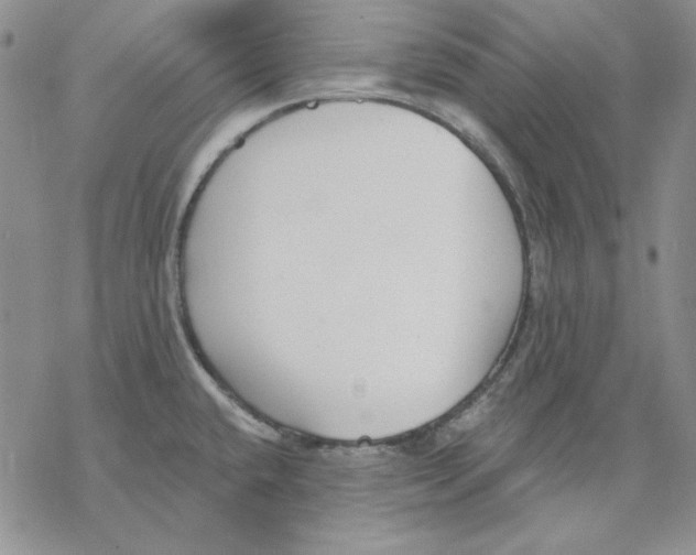 X0000069381432200606021556