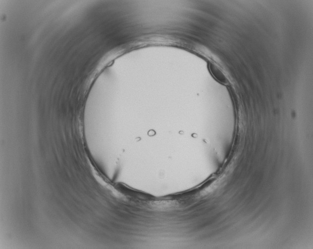 X0000069381433200606021556