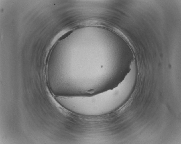 X0000069381434200606021556