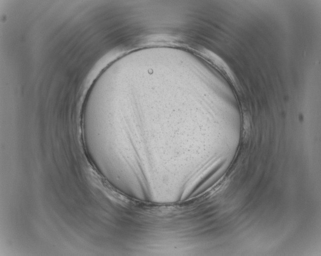 X0000069381435200606021556