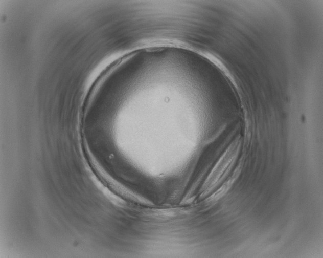 X0000069381438200606021556