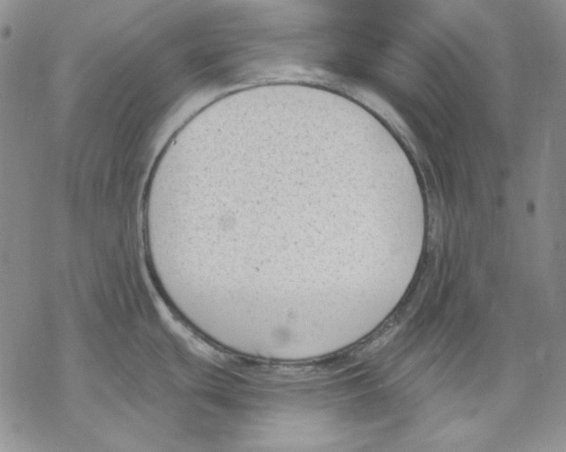 X0000069381439200606021556