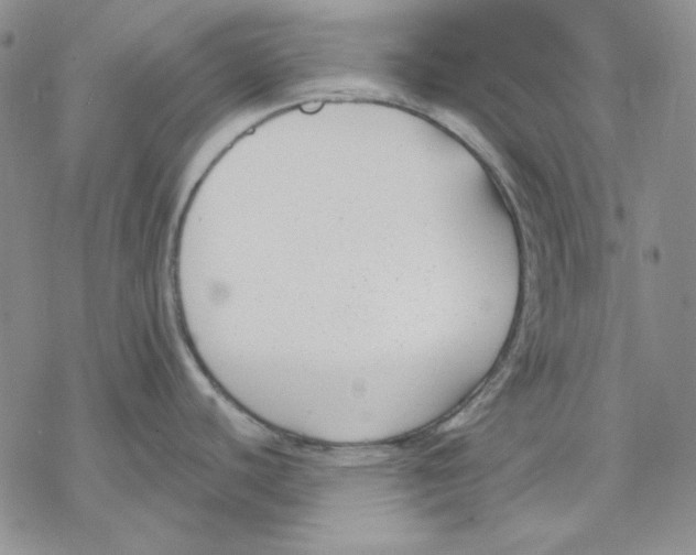 X0000069381440200606021556