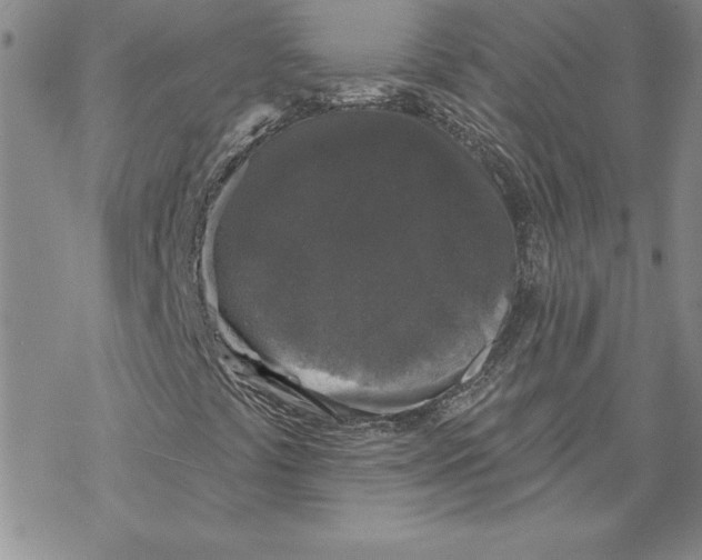 X0000069381441200606021555