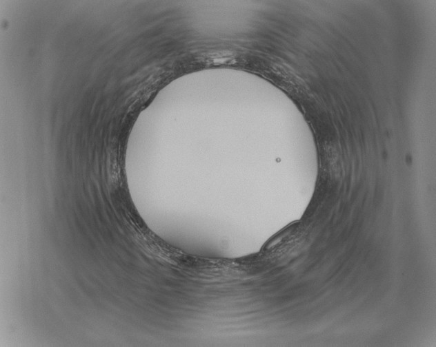 X0000069381442200606021555