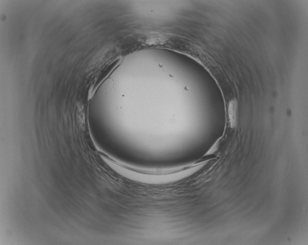 X0000069381443200606021555