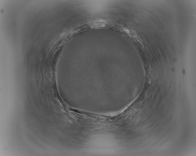 X0000069381445200606021555