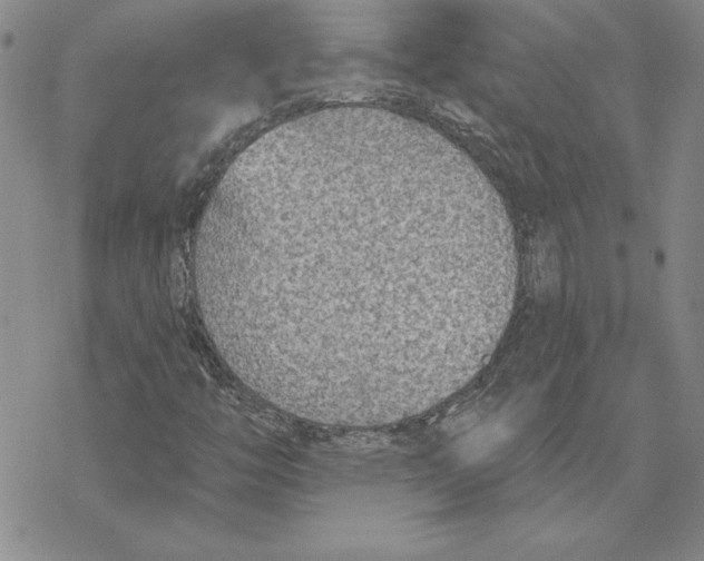 X0000069381446200606021555