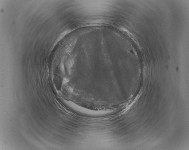 X0000069381449200606021555