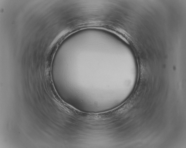 X0000069381450200606021555