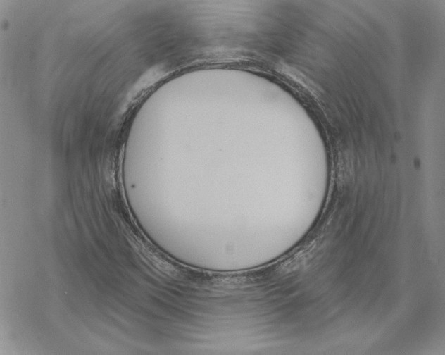 X0000069381451200606021555