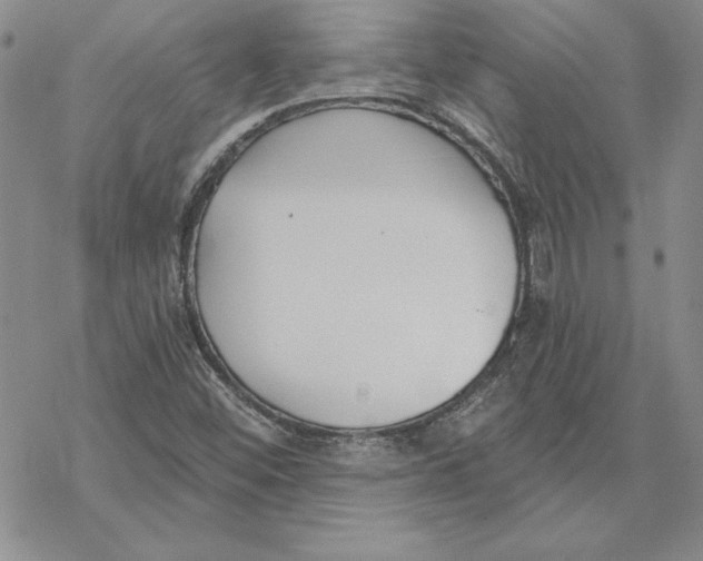 X0000069381452200606021555