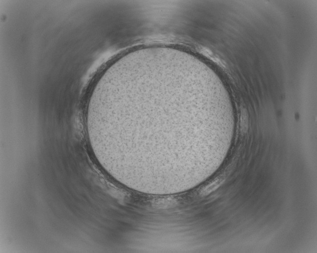 X0000069381454200606021555