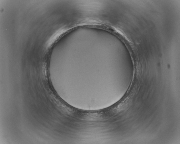 X0000069381455200606021555