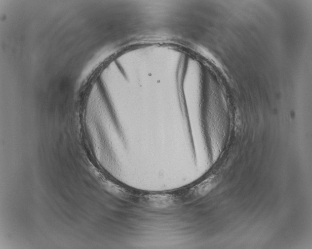 X0000069381456200606021555