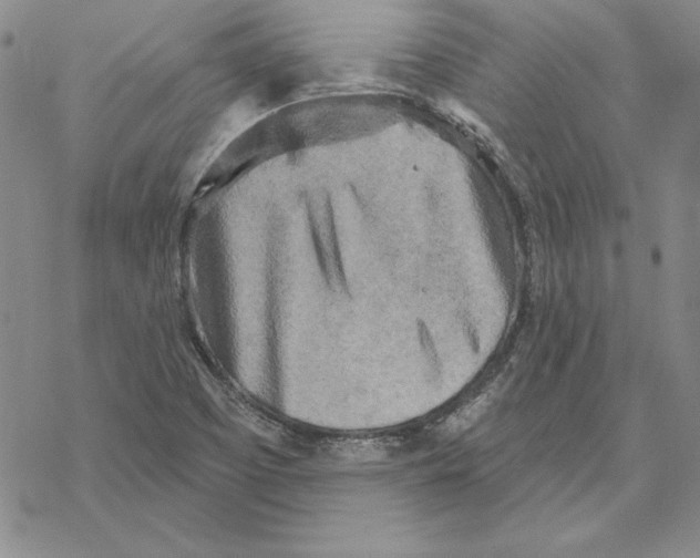 X0000069381457200606021555