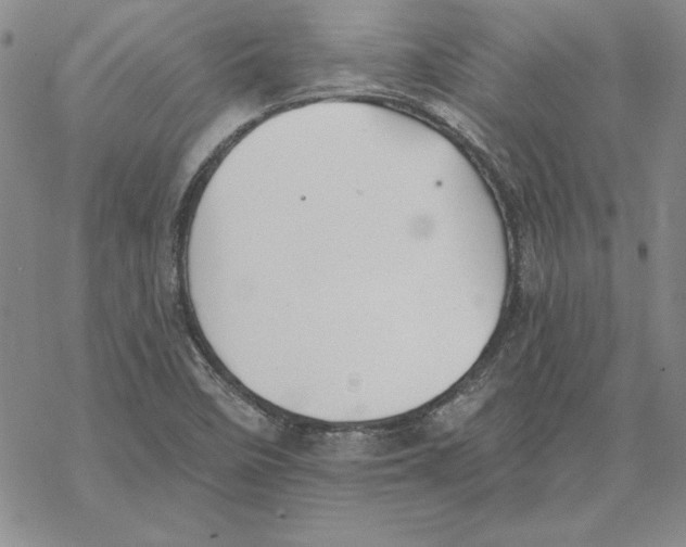 X0000069381458200606021555