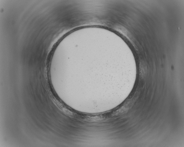 X0000069381460200606021555