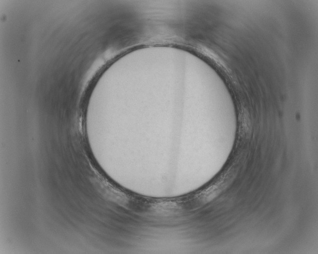 X0000069381462200606021555