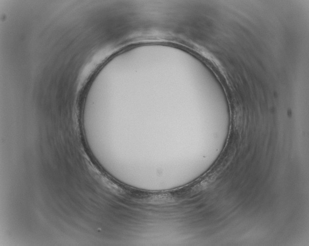 X0000069381464200606021555