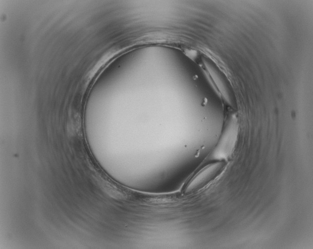 X0000069381465200606021554