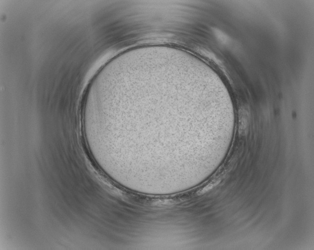 X0000069381467200606021554