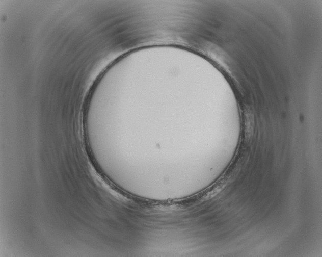 X0000069381468200606021554