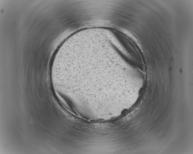 X0000069381469200606021554