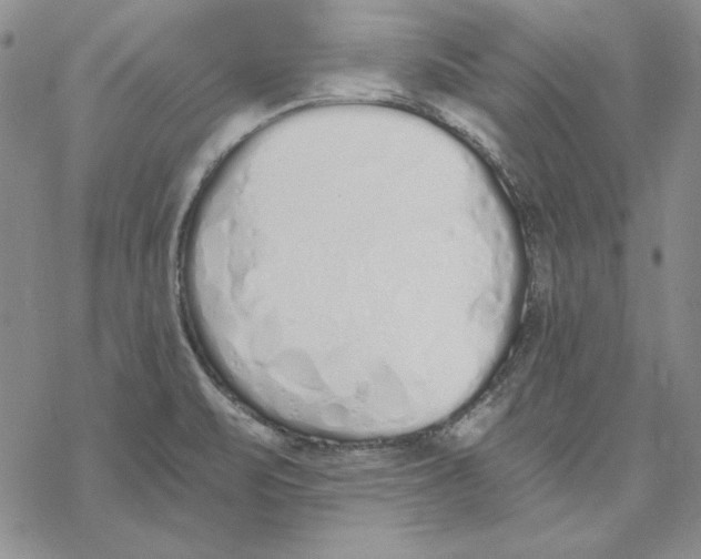 X0000069381471200606021554