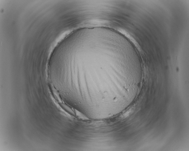 X0000069381477200606021554