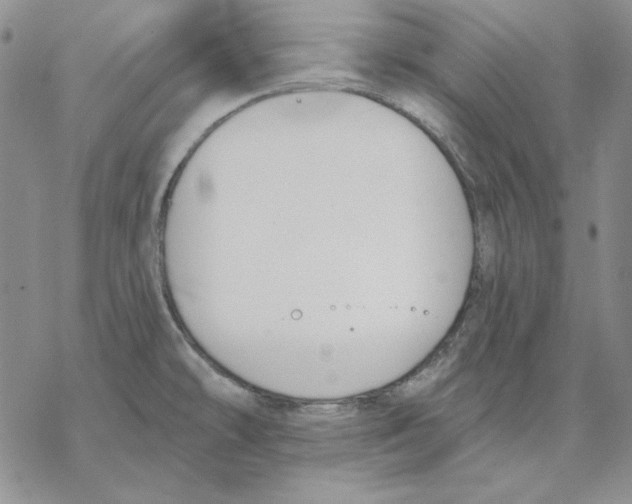 X0000069381478200606021554