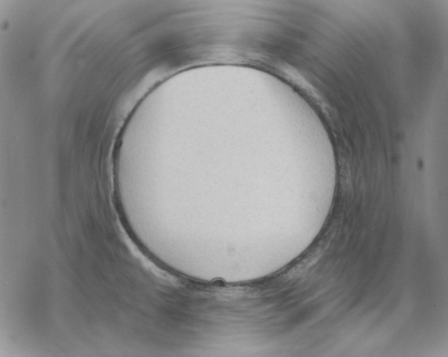 X0000069381479200606021554