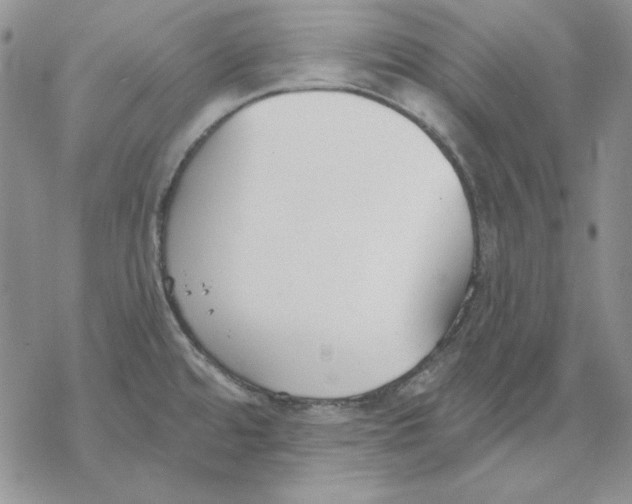 X0000069381480200606021554