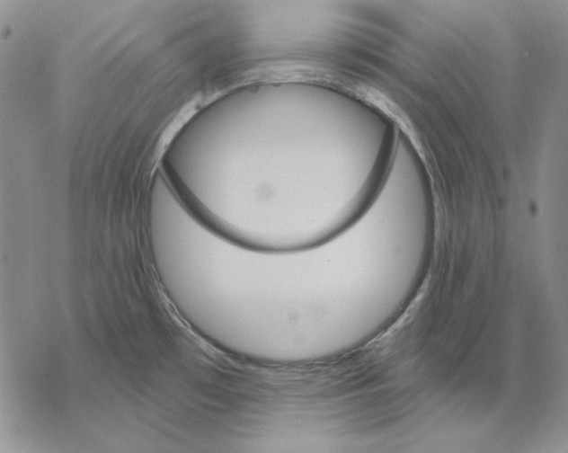 X0000069381481200606021554