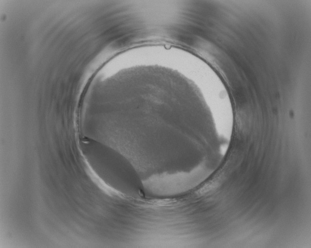 X0000069381482200606021554