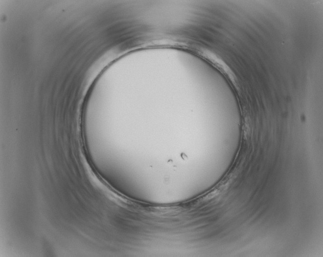 X0000069381483200606021554