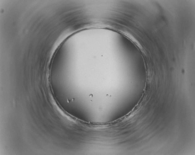 X0000069381484200606021554