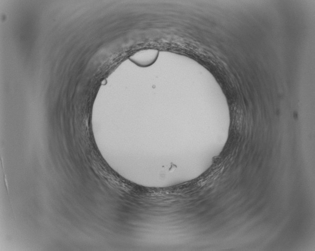 X0000069381489200606021553