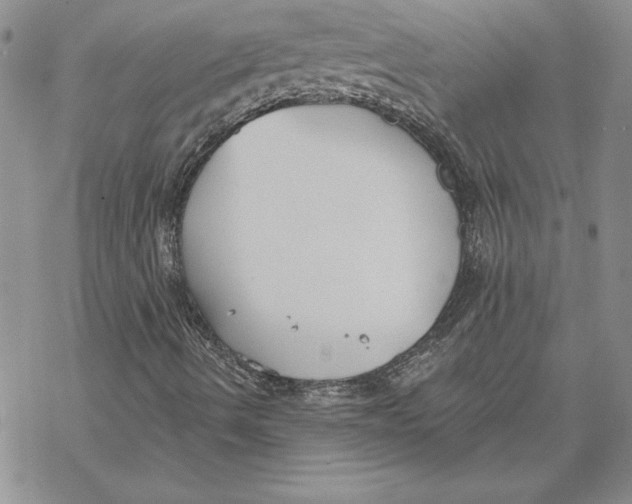 X0000069381490200606021553