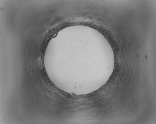 X0000069381493200606021553